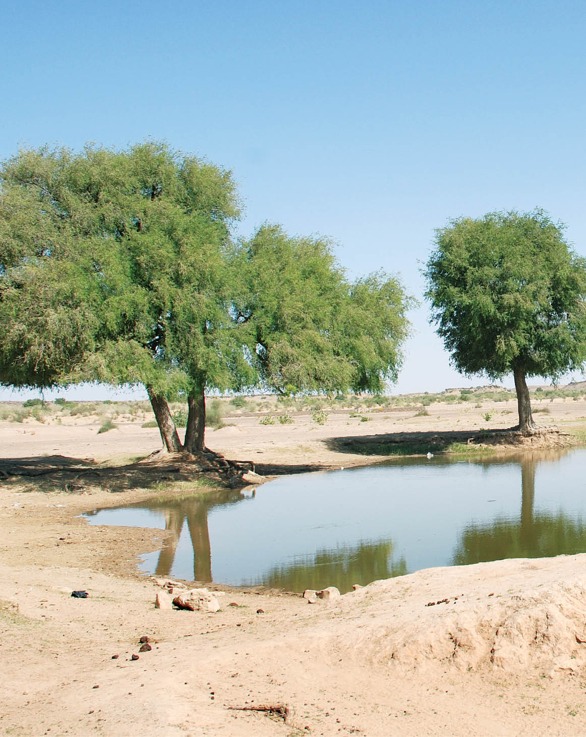 Climate Resilient Development